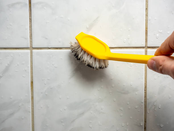 Best Mold Remediation  in Parsons, WV