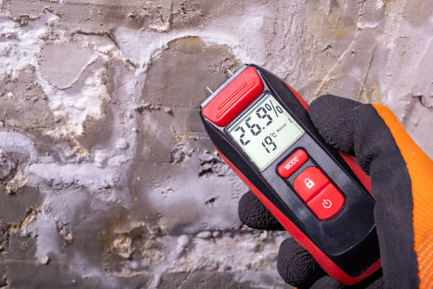 Best Mold Testing  in Parsons, WV
