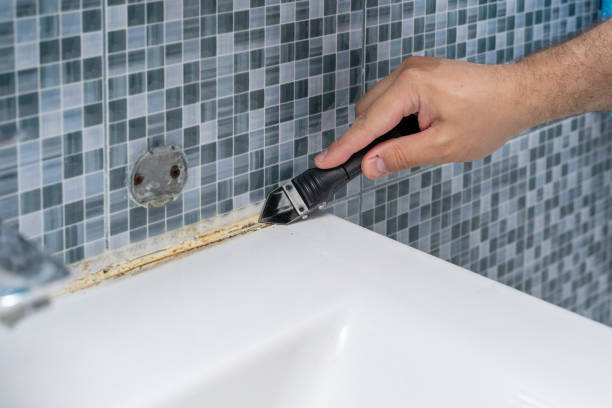 Best Mold Damage Repair  in Parsons, WV